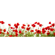Lade das Bild in den Galerie-Viewer, Leinwandbild Blumenwiese mit rotem Mohn Panorama