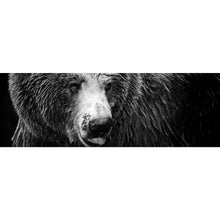 Lade das Bild in den Galerie-Viewer, Poster Braunbär Schwarz Weiß Panorama