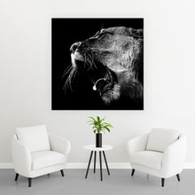 Lade das Bild in den Galerie-Viewer, Acrylglasbild Brüllende Löwin Quadrat