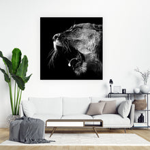 Lade das Bild in den Galerie-Viewer, Aluminiumbild Brüllende Löwin Quadrat