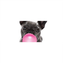 Lade das Bild in den Galerie-Viewer, Poster Bubble Bulldogge Panorama