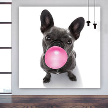 Lade das Bild in den Galerie-Viewer, Poster Bubble Bulldogge Quadrat