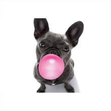 Lade das Bild in den Galerie-Viewer, Poster Bubble Bulldogge Querformat