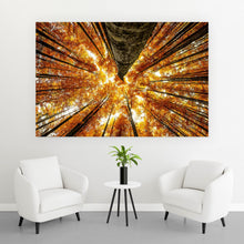 Lade das Bild in den Galerie-Viewer, Poster Buche im Herbst Querformat