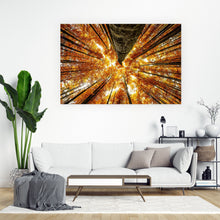 Lade das Bild in den Galerie-Viewer, Poster Buche im Herbst Querformat