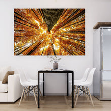 Lade das Bild in den Galerie-Viewer, Poster Buche im Herbst Querformat