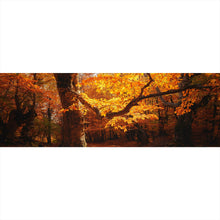 Lade das Bild in den Galerie-Viewer, Poster Buche im Herbst No.1 Panorama
