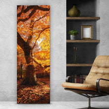 Lade das Bild in den Galerie-Viewer, Poster Buche im Herbst No.1 Panorama Hoch