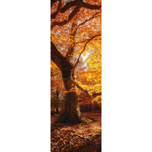 Lade das Bild in den Galerie-Viewer, Poster Buche im Herbst No.1 Panorama Hoch