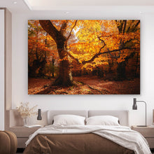 Lade das Bild in den Galerie-Viewer, Spannrahmenbild Buche im Herbst No.1 Querformat