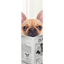 Lade das Bild in den Galerie-Viewer, Poster Bulldogge auf Toilette Panorama Hoch