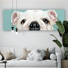 Lade das Bild in den Galerie-Viewer, Leinwandbild Bulldoggen Welpe Panorama