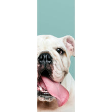 Lade das Bild in den Galerie-Viewer, Poster Bulldoggen Welpe Panorama Hoch