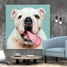 Lade das Bild in den Galerie-Viewer, Aluminiumbild Bulldoggen Welpe Quadrat