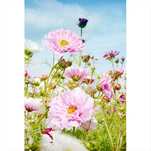 Lade das Bild in den Galerie-Viewer, Spannrahmenbild Bunte Frühlingswiese Hochformat