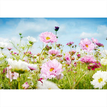 Lade das Bild in den Galerie-Viewer, Acrylglasbild Bunte Frühlingswiese Querformat