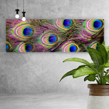 Lade das Bild in den Galerie-Viewer, Leinwandbild Bunte Pfauenfedern Panorama