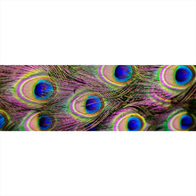 Lade das Bild in den Galerie-Viewer, Acrylglasbild Bunte Pfauenfedern Panorama