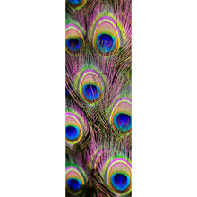 Lade das Bild in den Galerie-Viewer, Acrylglasbild Bunte Pfauenfedern Panorama Hoch