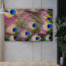 Lade das Bild in den Galerie-Viewer, Aluminiumbild Bunte Pfauenfedern Querformat