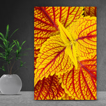 Lade das Bild in den Galerie-Viewer, Acrylglasbild Buntnessel Hochformat