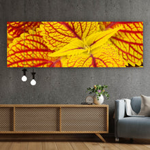 Lade das Bild in den Galerie-Viewer, Poster Buntnessel Panorama
