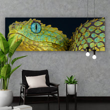 Lade das Bild in den Galerie-Viewer, Spannrahmenbild Buschviper Panorama