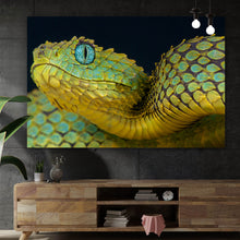 Lade das Bild in den Galerie-Viewer, Aluminiumbild gebürstet Buschviper Querformat