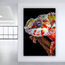 Lade das Bild in den Galerie-Viewer, Spannrahmenbild Chamäleon auf schwarzem Hintergrund Hochformat
