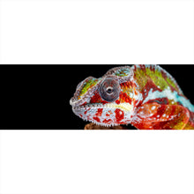 Lade das Bild in den Galerie-Viewer, Acrylglasbild Chamäleon auf schwarzem Hintergrund Panorama