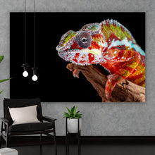 Lade das Bild in den Galerie-Viewer, Poster Chamäleon auf schwarzem Hintergrund Querformat
