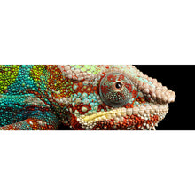Lade das Bild in den Galerie-Viewer, Poster Chamäleon Panorama