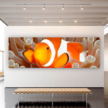 Lade das Bild in den Galerie-Viewer, Poster Clown-Anemonenfisch Panorama