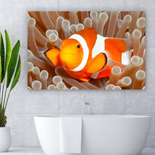 Lade das Bild in den Galerie-Viewer, Poster Clown-Anemonenfisch Querformat