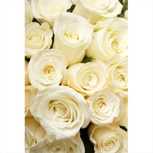 Lade das Bild in den Galerie-Viewer, Spannrahmenbild Cremefarbene Rosen Hochformat