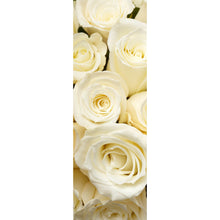 Lade das Bild in den Galerie-Viewer, Poster Cremefarbene Rosen Panorama Hoch