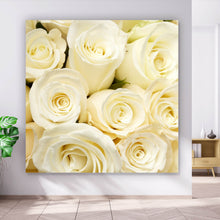 Lade das Bild in den Galerie-Viewer, Aluminiumbild gebürstet Cremefarbene Rosen Quadrat