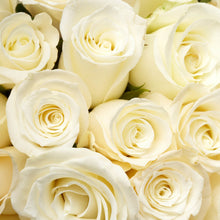 Lade das Bild in den Galerie-Viewer, Spannrahmenbild Cremefarbene Rosen Quadrat