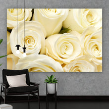 Lade das Bild in den Galerie-Viewer, Aluminiumbild gebürstet Cremefarbene Rosen Querformat