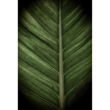 Lade das Bild in den Galerie-Viewer, Aluminiumbild Dark Leaf Hochformat