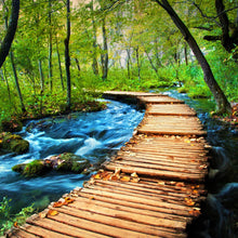 Lade das Bild in den Galerie-Viewer, Leinwandbild Deep Forest Quadrat
