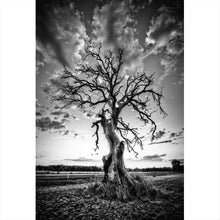 Lade das Bild in den Galerie-Viewer, Poster Der Einsame Baum Hochformat