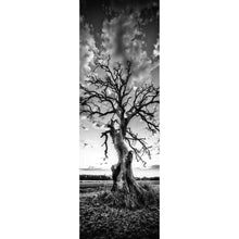 Lade das Bild in den Galerie-Viewer, Poster Der Einsame Baum Panorama Hoch