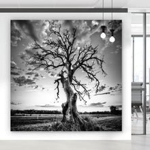 Lade das Bild in den Galerie-Viewer, Poster Der Einsame Baum Quadrat