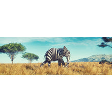 Lade das Bild in den Galerie-Viewer, Aluminiumbild Diffrent Elephant Panorama