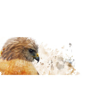 Lade das Bild in den Galerie-Viewer, Acrylglasbild Falke Aquarell Panorama