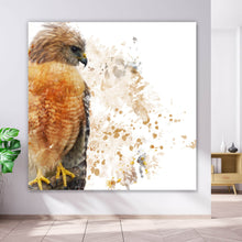 Lade das Bild in den Galerie-Viewer, Acrylglasbild Falke Aquarell Quadrat