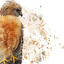 Lade das Bild in den Galerie-Viewer, Leinwandbild Falke Aquarell Quadrat