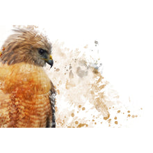 Lade das Bild in den Galerie-Viewer, Acrylglasbild Falke Aquarell Querformat