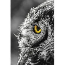 Lade das Bild in den Galerie-Viewer, Aluminiumbild gebürstet Dunkle Eule Hochformat